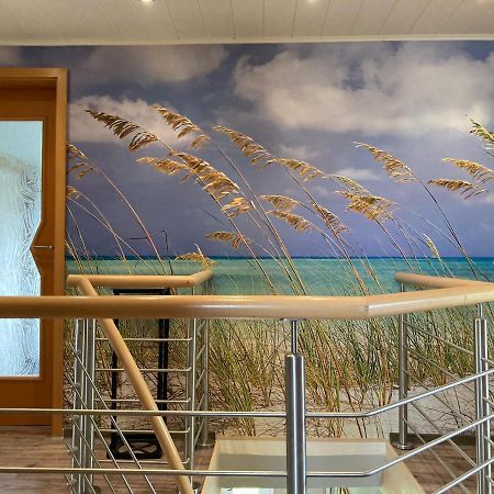 Ferienwohnung Ostseestrandlaeufer 2 Zingst Exteriör bild